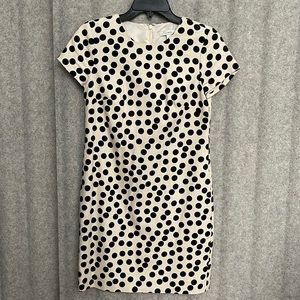 J Crew scatter dot shift dress 00